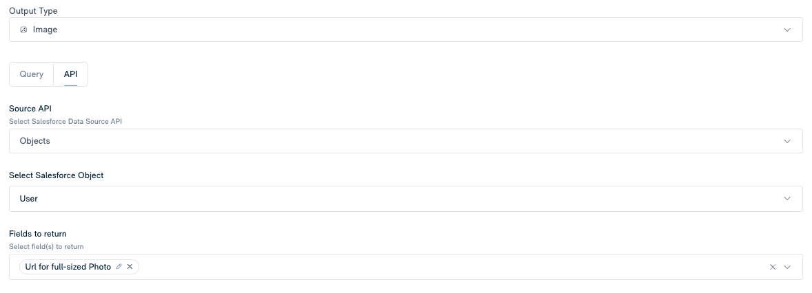 Image showing "Output type" set to Image, and an output of an image URL field